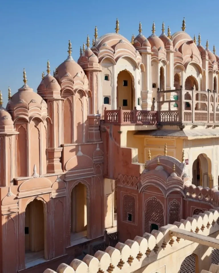 Rajasthan-thumpor (1)