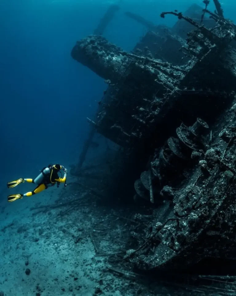 dai-duong-thumportrait(2)