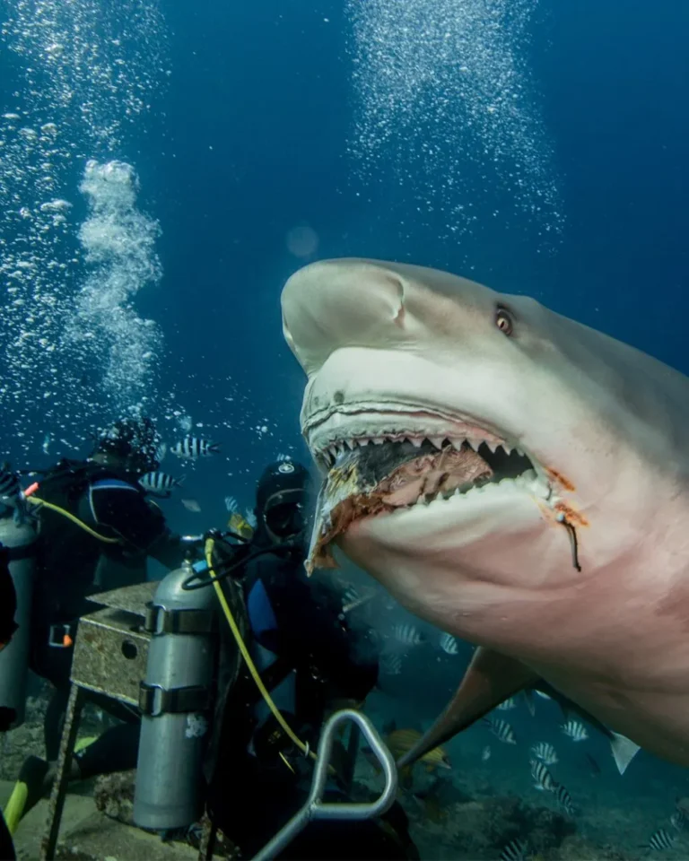 du-lich-mao-hiem-THUM-1