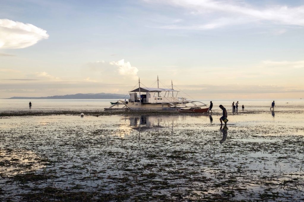 South Palms Resort & Spa Panglao - MGallery Collection ©Jason Lang (3) lớn
