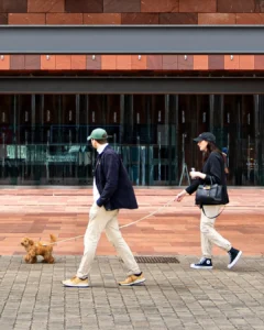 loi-ich-tu-thoi-quen-di-bo-moi-ngay-thum-2