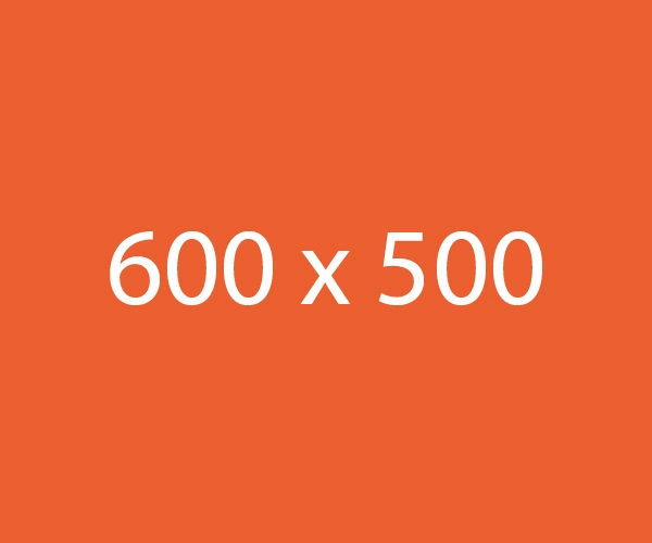 600x500